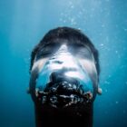 Pay Attention to the Warning Signs of Depression, Suicide Risk